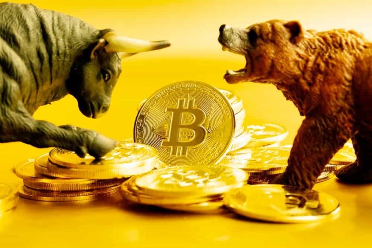 Bears Were Mistaken- Crypto Market Gains $800 Billion in Two Months